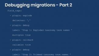 Example configuration for debug process plugin.